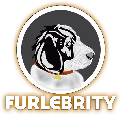 Furlebrity 